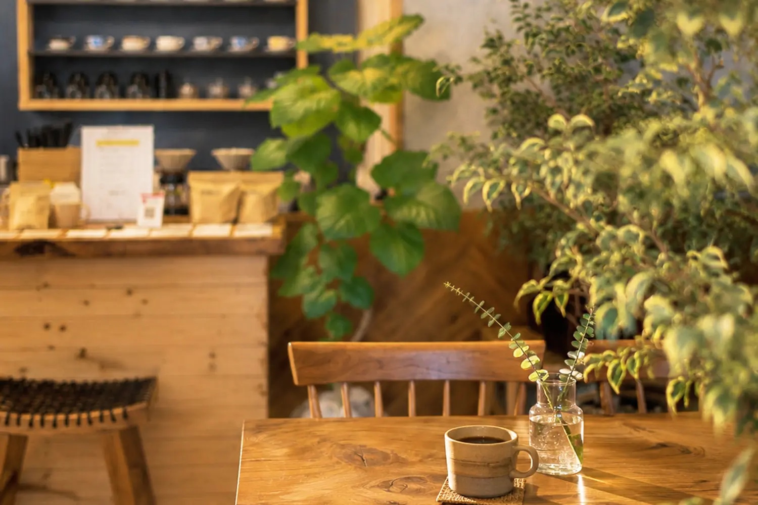 木のテーブルに置かれたコーヒーと、緑に囲まれた店内
